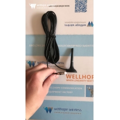 Wifi Selular IIot Router Antenne 
