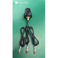 Outdoor Automotive WLAN antena Wh-4G-2.4-GPS-D2 